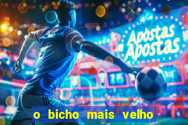 o bicho mais velho da loteria dos sonhos